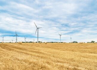 Jak długo rolować mięśnie?