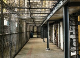 Jaki WOOM dla 3 latka?