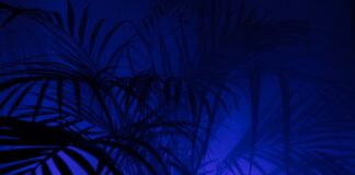 Gdzie kupić dobrej jakości legginsy?