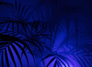 Gdzie kupić dobrej jakości legginsy?