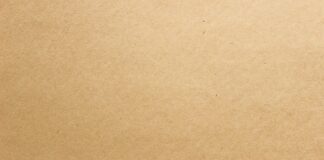 Co daje karta kibica Legii?