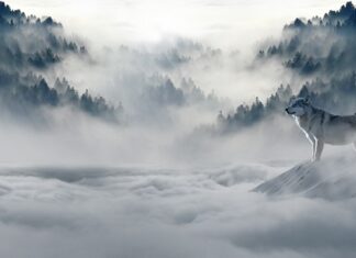 Co zamiast biegania zima?