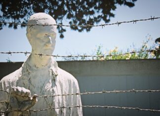 Jaki prezent dla fana Legii?