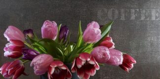 Jak ćwiczyć Sprezynami?