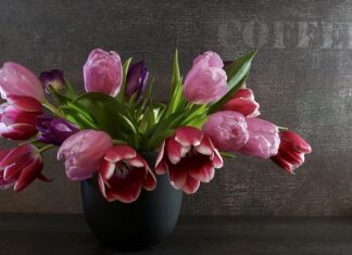 Jak ćwiczyć Sprezynami?