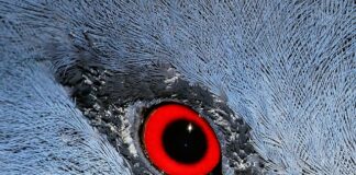 Co zabrać ze sobą na mecz jako kibic?