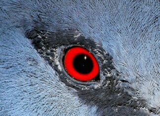 Co zabrać ze sobą na mecz jako kibic?