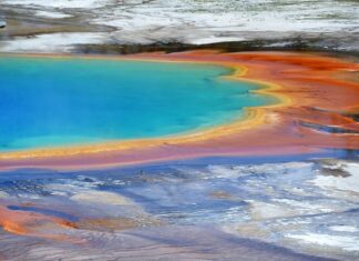 Czy termiczna i termoaktywna to to samo?