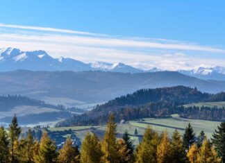 Jak mówią górale na pieniądze?